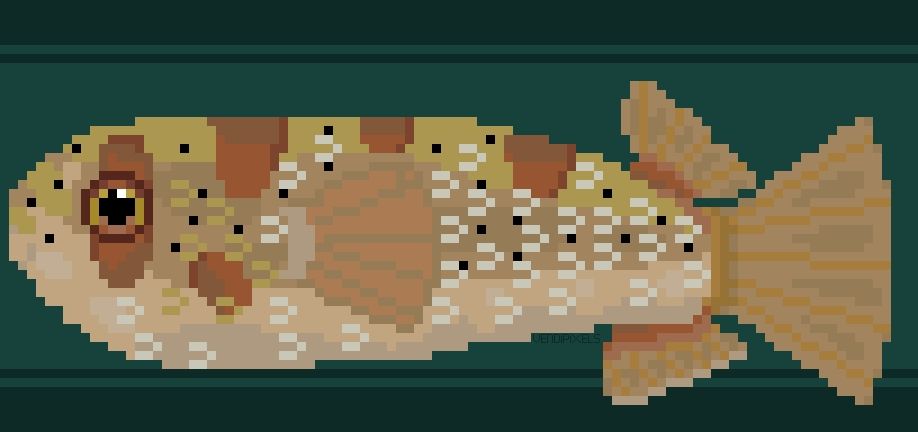 A pixel art image of a fish. Its different shades of beige, with thick brown spots on the top. It has white and beige spikes.