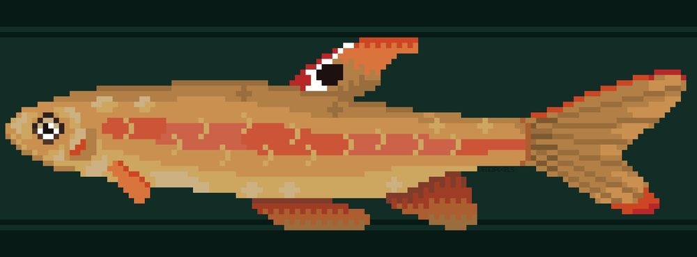 A pixel art image of a fish. It's different shades of beige, with a thick red horizontal line. Its eye is white. 