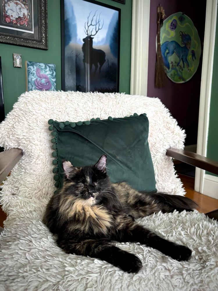 A photo of a fluffy tortie cat lounging on a plush chair. The cat has mottled black and orange fur, a proud face, & dainty dark legs stretched out in front of her. She has no eyes, due to an illness as a kitten. Behind her is a green cushion, and she looks content and a bit smug. 