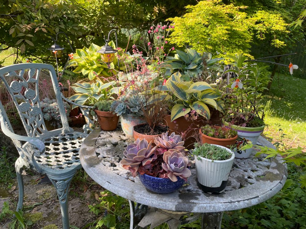 Garden metal table and chair, table has pots of plants on it, paint has peeled off most of the table  it’s old and loved. 
