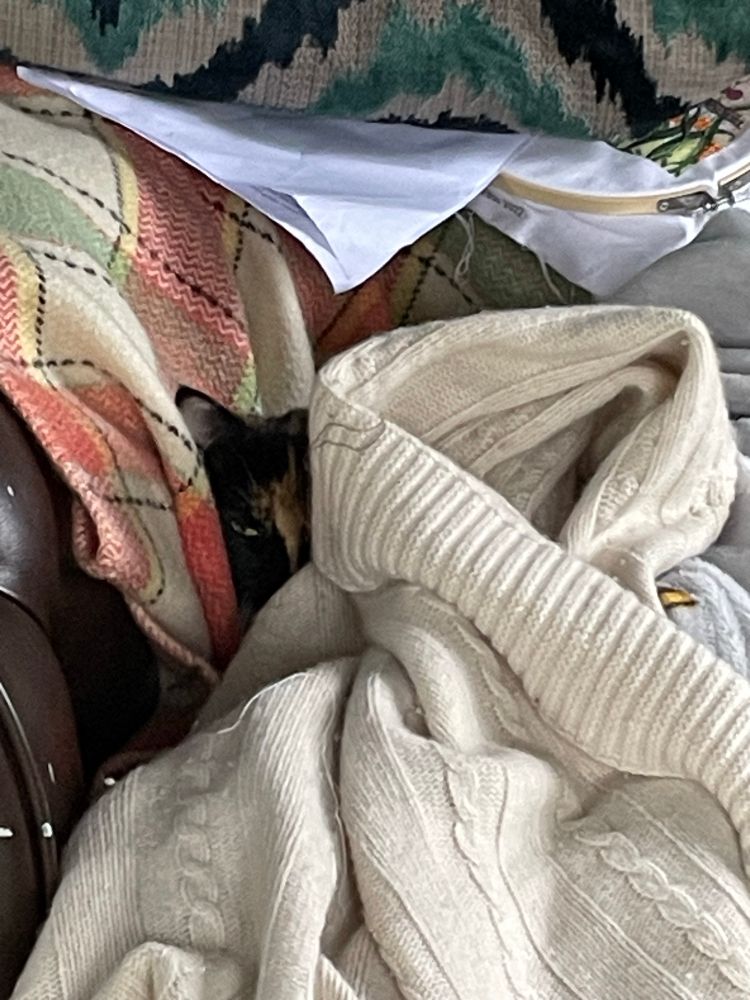 Tortoiseshell and white cat snuggles into cream cable knit blanket, while laying on top of a brightly coloured Welsh blanket, peers out at the photographer. 