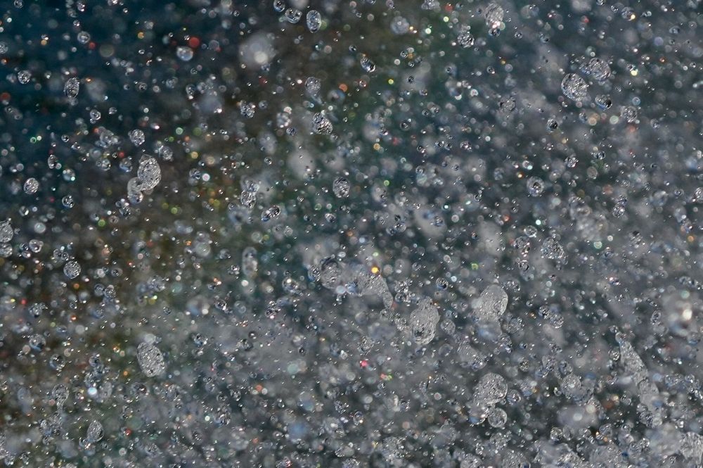 Close-up photo of bow spray. 