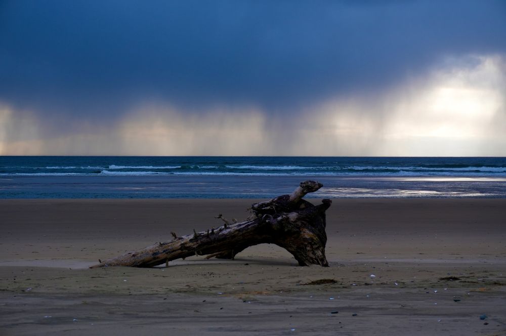Driftwood on beach, waves crashing and dark band of clouds with rain showers over the ocean