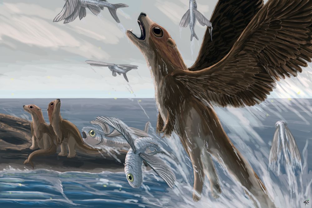 A porgerbear chimeara, a combination of: puffin, polar bear, tyrannosaur, beluga, and porg (those feathered, gremlin-looking jellybeans from the sequel trilogy)