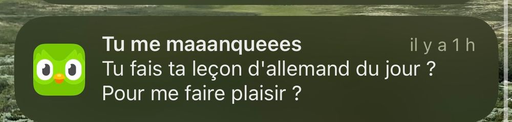 Notification Duolingo : 
Tu me maaanqueees
Tu  fais ta leçon d'allemand du jour ?
Pour me faire plaisir ?