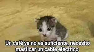 Un café ya no es suficiente, necesito masticar un cable eléctrico