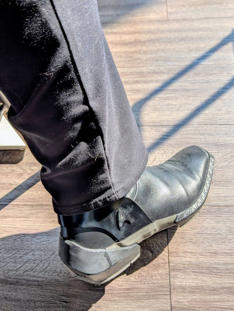 A disembodied leg with black slacks and Star Trek: Strange New Worlds boots in the foreground. Lots of cat hair. 