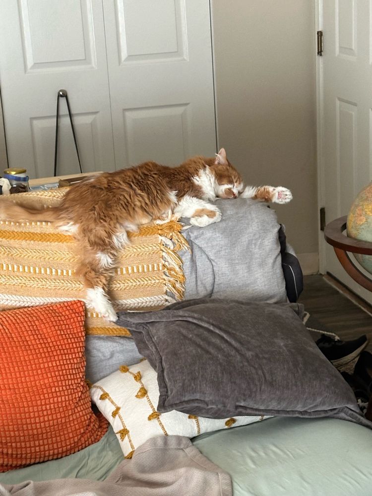 Orange and white cat lounges on the couch with one leg dangling down and another paw stretched out, making an L shape
