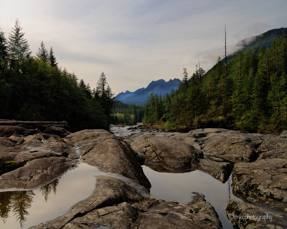 Mountain peak view surrounded by evergreens 