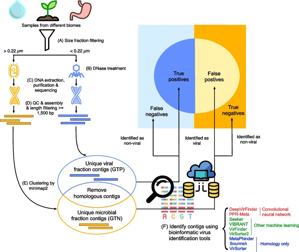 Benchmarking bioinformatic virus identification tools using real-world metagenomic data across biomes - Genome Biology