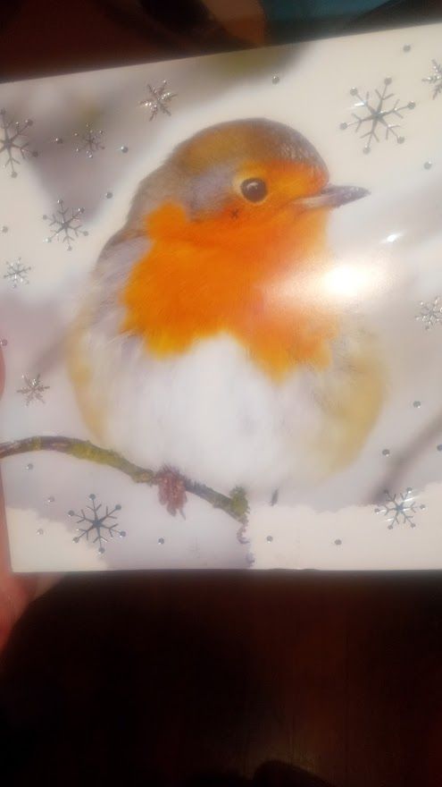 A Christmas card with a European Robin with a little black x on its cheek like Izzy Hands in our flag means death