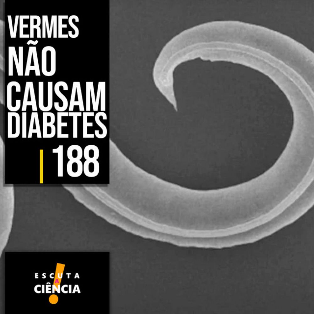 Vermes não causam diabetes