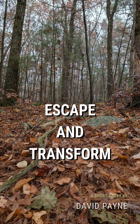 Cover of Escape and Transform, a low-fantasy short story by David Payne. The cover features dead leaves in the foreground, trees and fog in the background.