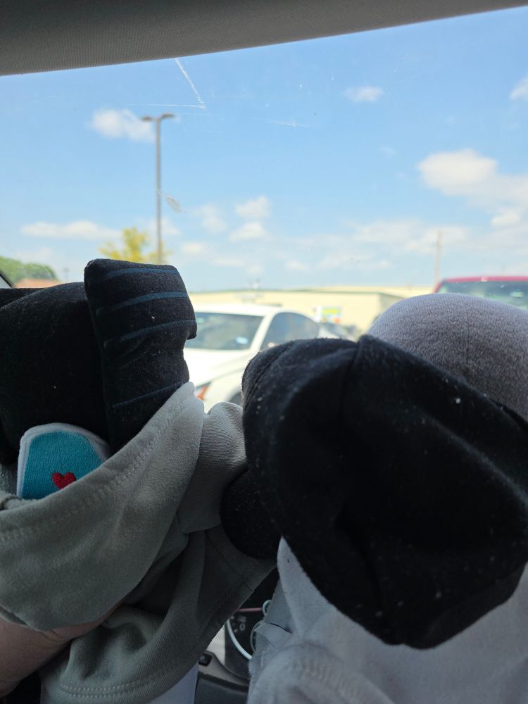 A back view of my Groove and Bluestreak plushies. They are posed so that they're looking out the front windshield of my car at a white building. A sign on the building reads: Freestate Comicon