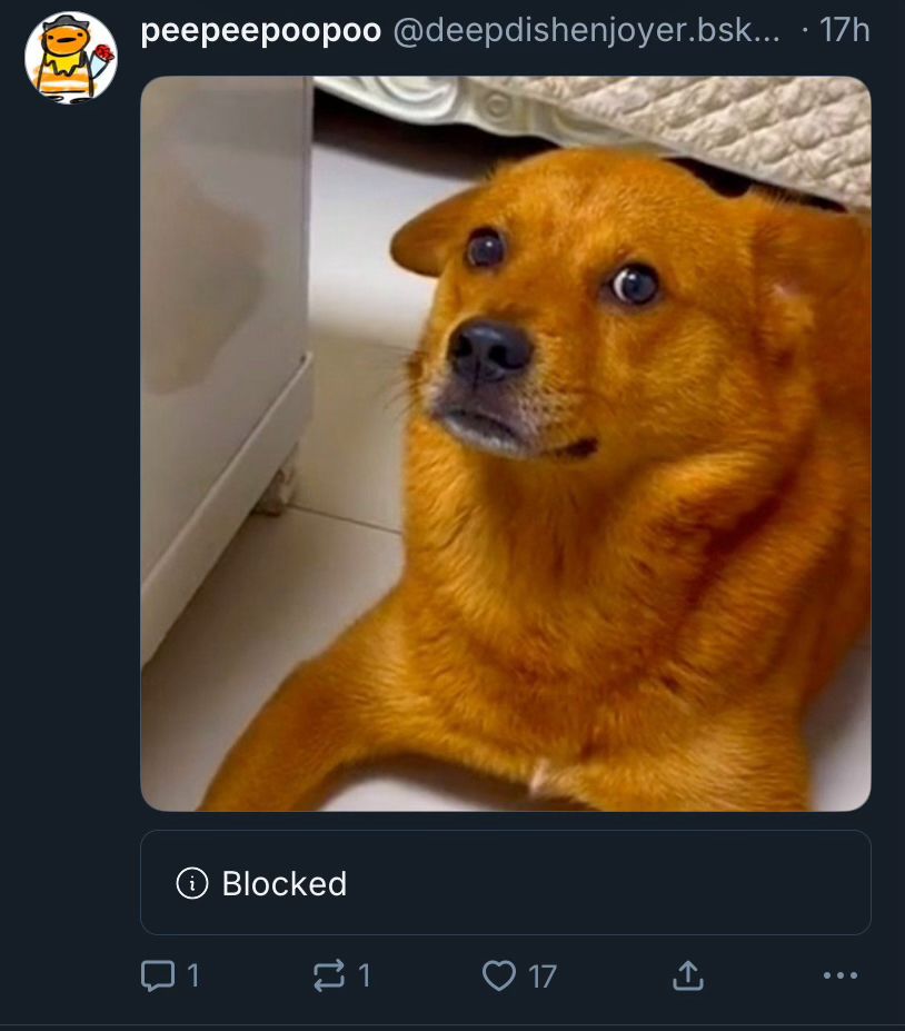 screenshot of quote post of some other post which is blocked for viewer with confused dog as a content of quotepost 