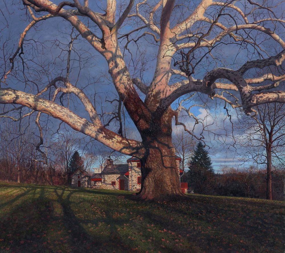 🪾Luz rasante por Timothy Barr, 2019. 