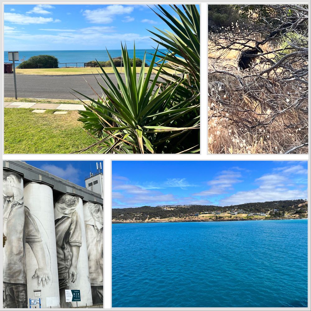 Collage vom Outback in Australien