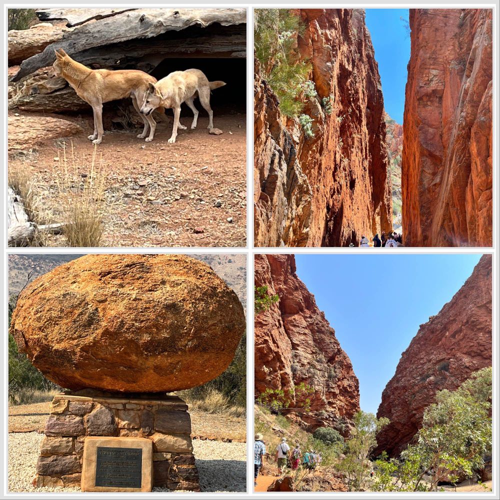 Collage aus dem Desert Rund um Alice Springs