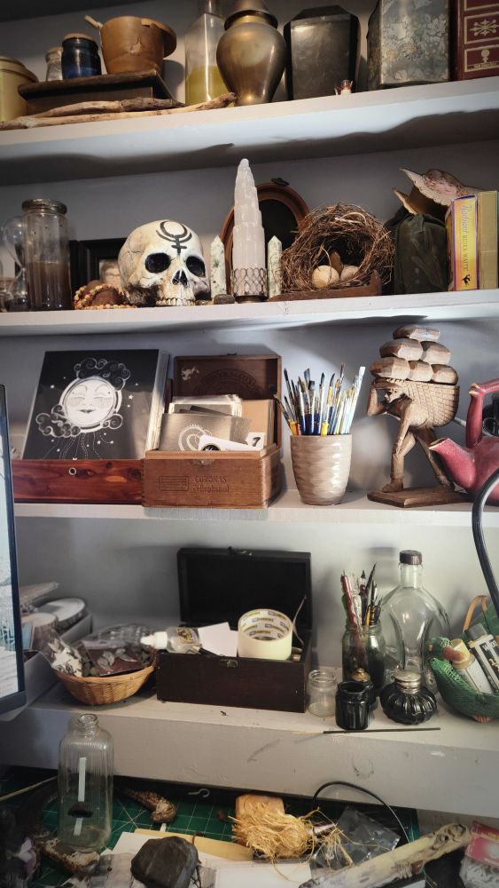 Photo of shelves in my studio. There are lots of vessels and wooden boxes full of art supplies along with a bunch of witchy stuff like a faux human skull and a bird's nest.