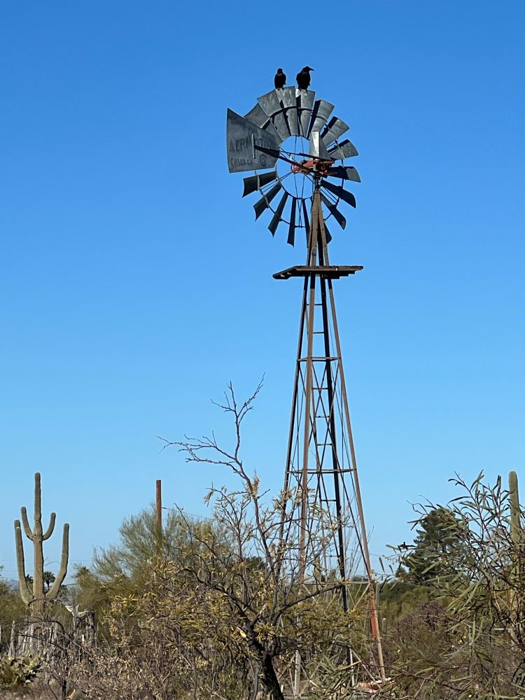 Two ravens sitting on a windmill
