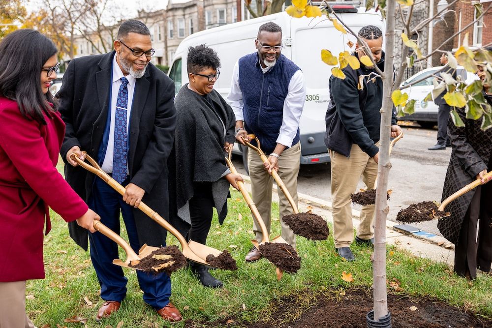 A group of people shovels mulch onto the base of a newly planted tree on an autumn day.