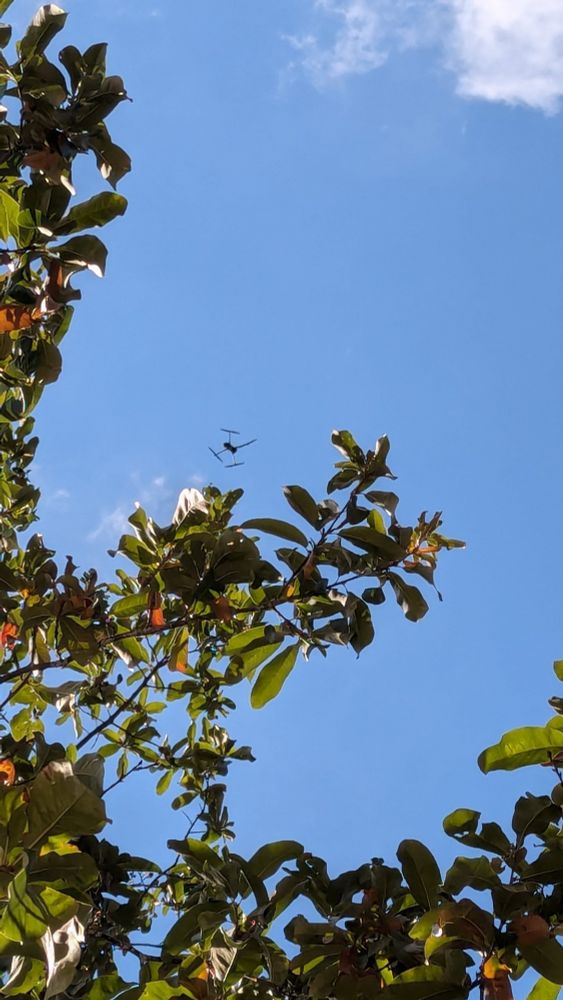 Nypd surveillance drone were flying in the sky over campus