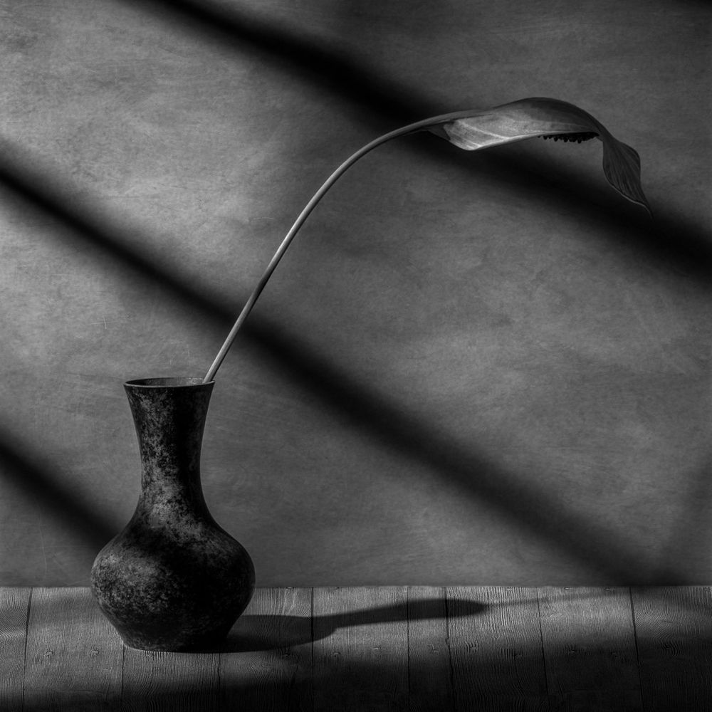 A Peace Lily flower in a small vase.  