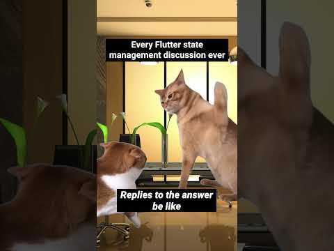 Every Flutter state management discussion ever #shorts