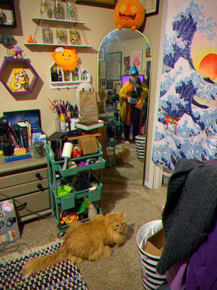 A long haired orange cat, sitting on the carpet in a bedroom. I am seen reflected in the full length mirror in the corner of the room. 