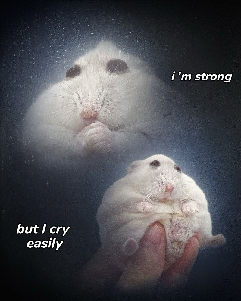 Hamster being grasped between 3 fingers and text that reads I’m strong but I cry easy