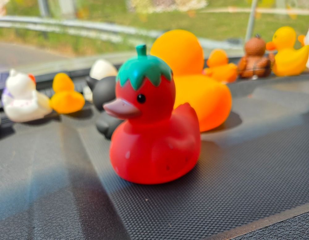 Strawberry duck in front, blurred ducks int he background, on a dash. 
