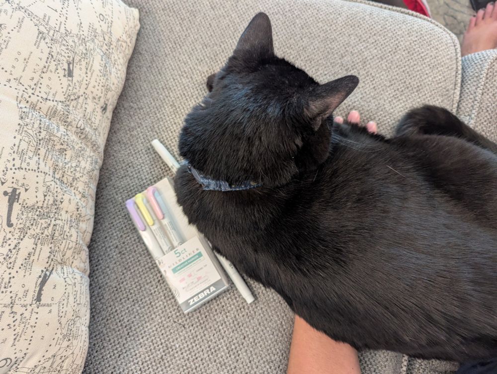 An overhead shot of a black cat reclining on a gray couch cushion, a pack of highlighters, and a human arm.