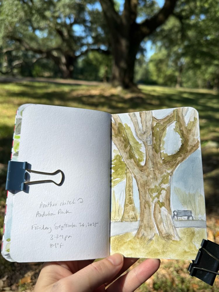 A hand holds a small sketchbook with a watercolor sketch on the right side featuring the thick trunk and large splitting branches of an old oak tree. The tree itself is in the background. 

The right side of the sketchbook has notes about the painted image. September 2025. 