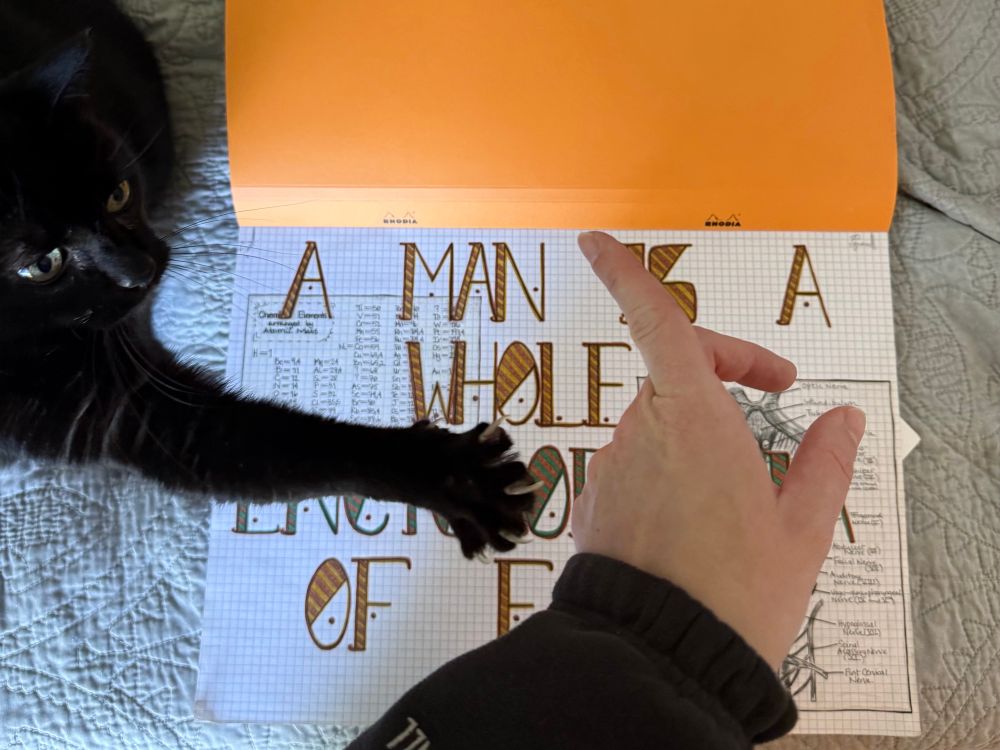 Human hand and cat paw for scale 😉 