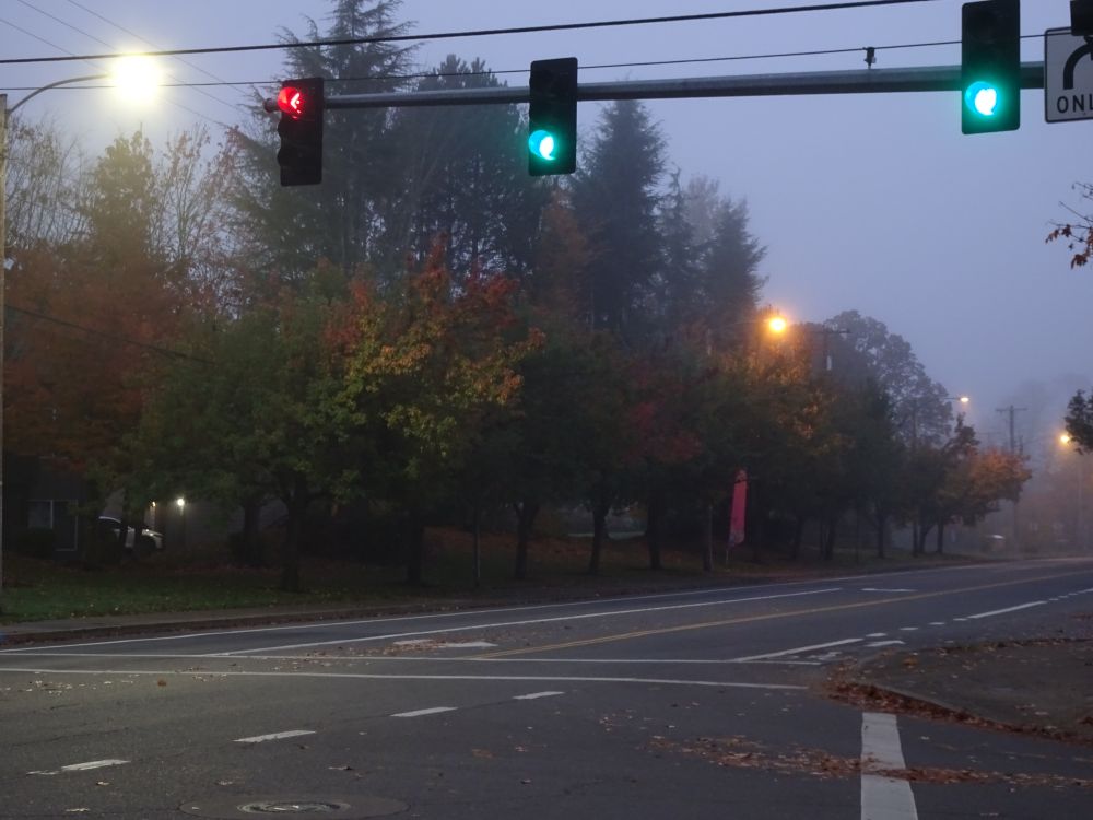 Experimenting with my camera in the foggy, early morning light. I've been unable to get the phone cam to adjust the exposure to get this realistic lighting, but the 'Scene Selection' setting on my camera gives me pretty much what I want in the early light. I still want to try it earlier, in the dark, to see what happens. None of these are fabulous photos, just experimenting with the light and camera.