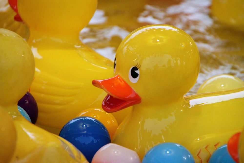 A big rubber duckie floating in water with colored balls and other duckies.