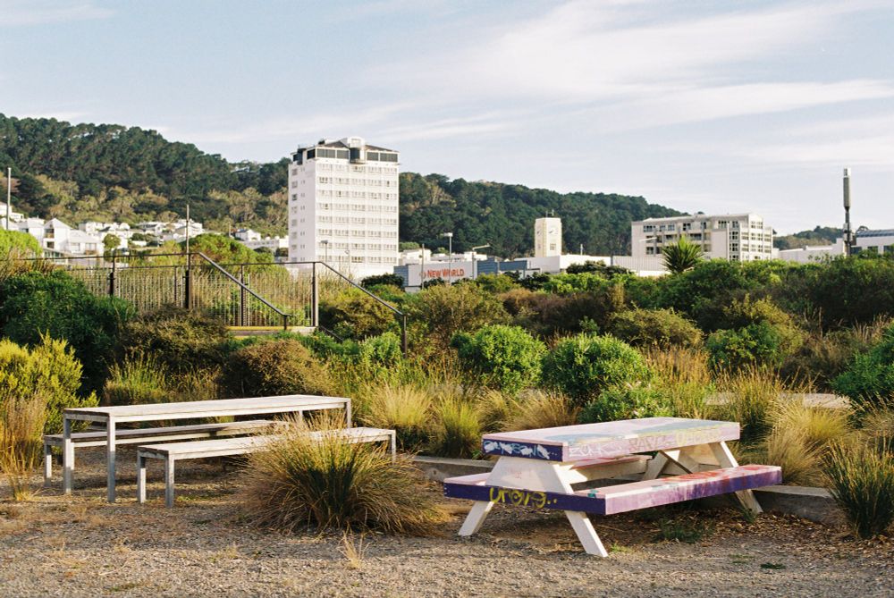 A photo of an urban park with picnic benches in the foreground, green bush I’m the midground and buildings in the background. The scene is lit by light from a setting sun.