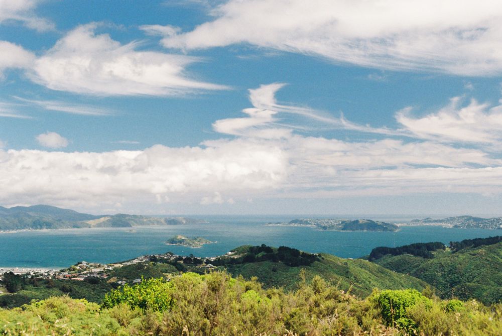 A photo of part of a bay, seen from a high vantage point. A small island sits in the middle of the bay. It’s a very sunny day and the sky is blue with feathery, almost bird-like clouds.