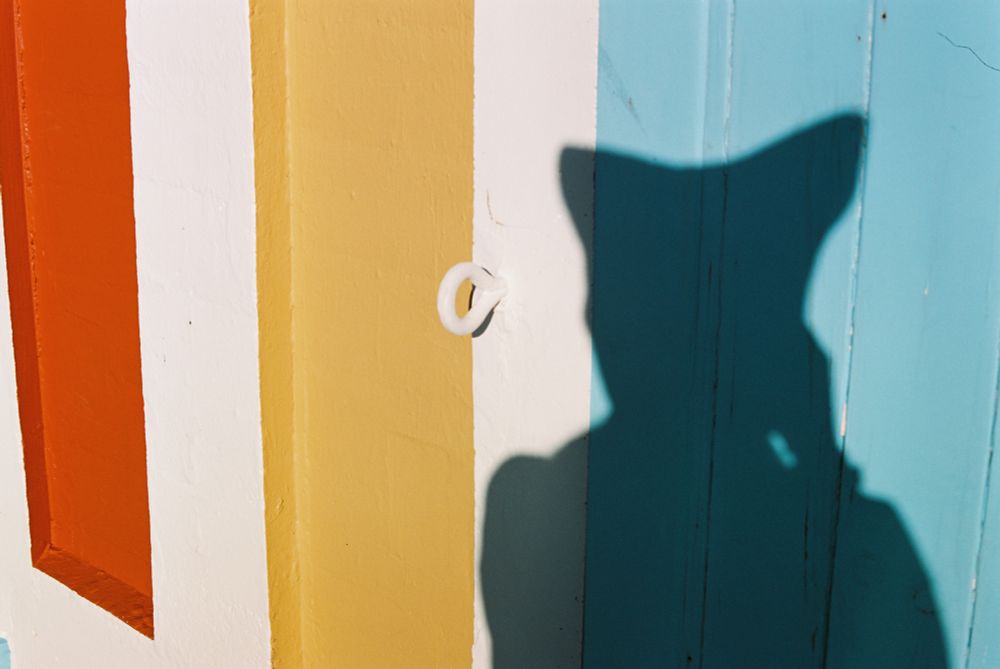 A photo of Pixel’s shadow on a wall with painted red, yellow and blue sections.