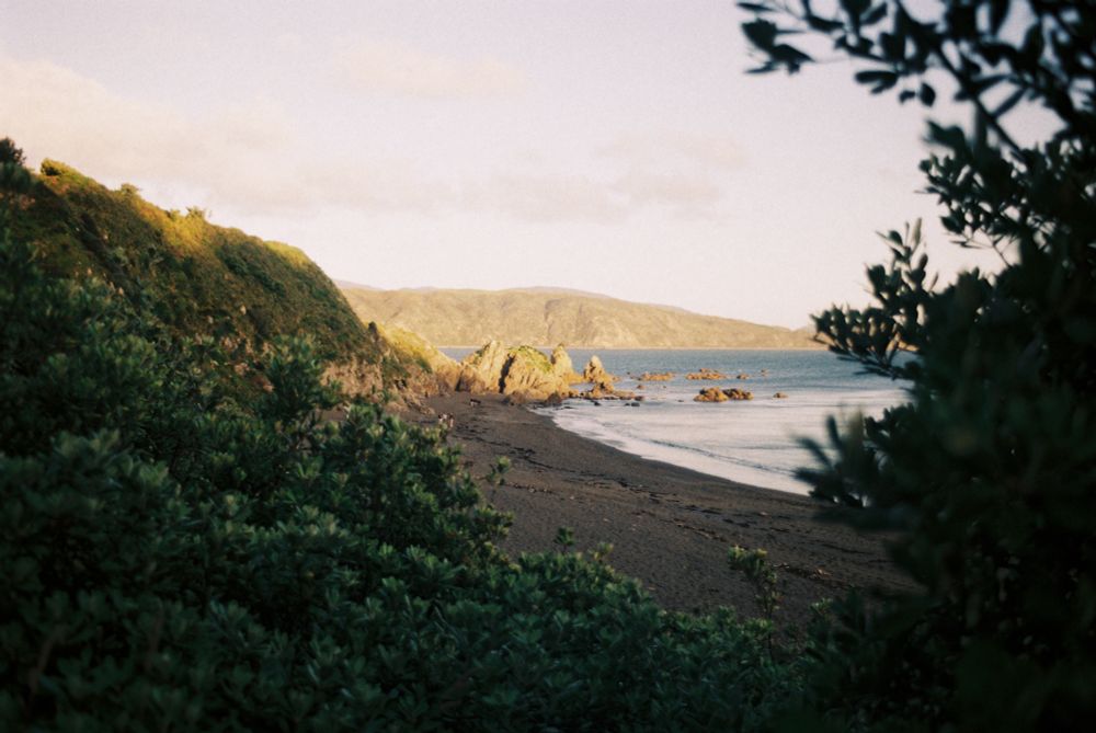 A photo overlooking Breaker Bay from a higher vantage point. The tops of hills and cliffs are lit by golden hour sunlight. The scene is framed by trees in the foreground, forming a V shape where the bay is visible.