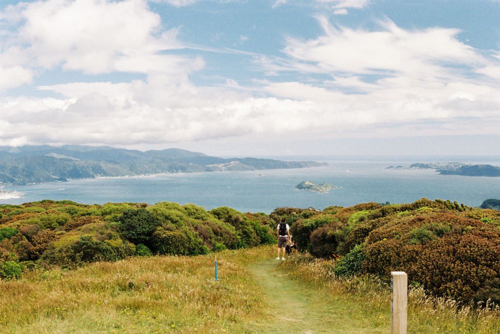 A photo of the bay, looking down from the summit of Belmont Trig. A path can be seen leading downwards, lining up with the island in the middle of the bay.