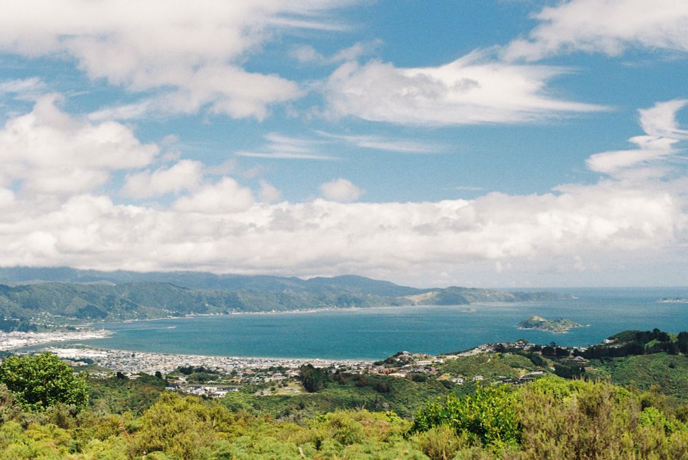 A photo of a large bay from a the summit of a hill. In the centre of the bay is an island, visible on the right side of the frame. Along the coast of the bay is a built-up town, surrounded by hills and bushes.