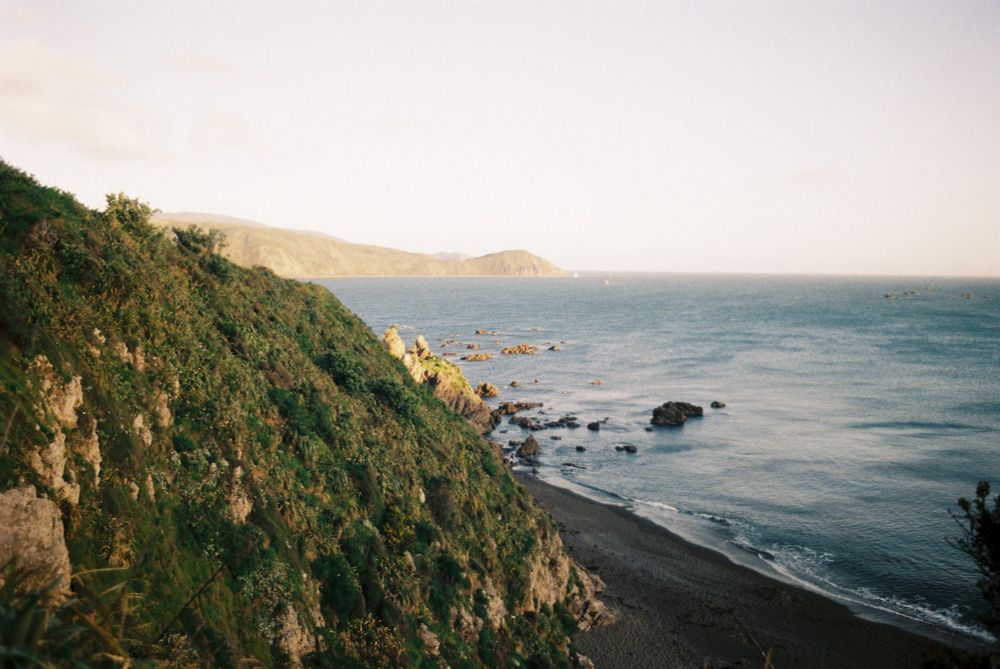 A photo of Breaker bay from a high vantage point. A steep green cliff, lit by sunset light dominates the left side of the frame. On the right is the bay itself, with calm waters. A headland can be seen in the far distance, centred in frame.