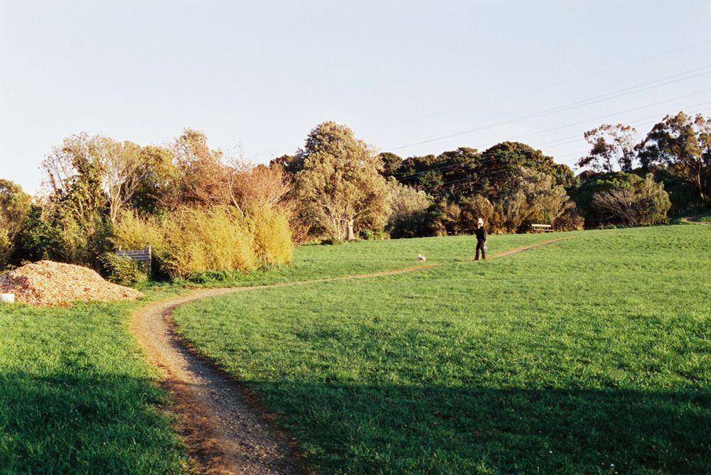 A photo of a grassy park with a dirt path leading through it. A person walking a dog is seen on the path in the distance and trees can be seen in the background. It’s near sunset and the sunlight has a golden hue.