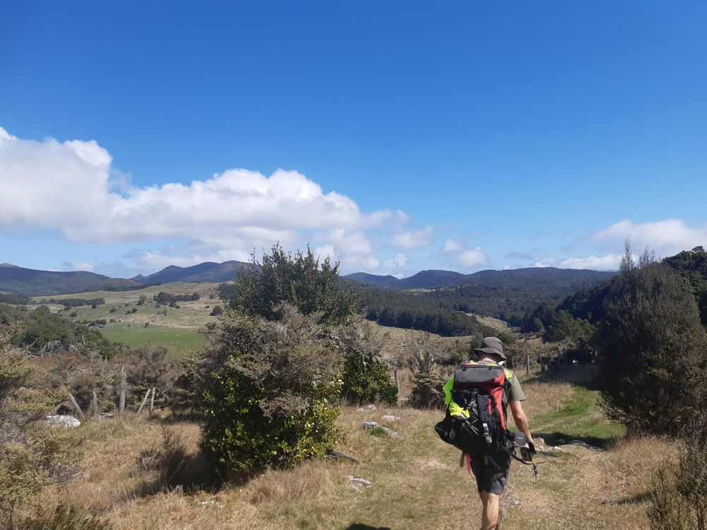 Canaan Downs Scenic Reserve