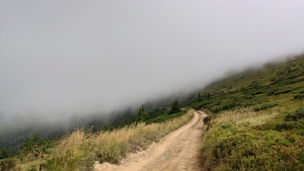 Хмарний день у Карпатах 