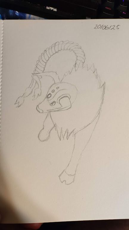 A pencil drawing of a Paldean Tauros Blaze Breed, A bull-like Pokémon with a fluffy patch of neck fur and a long, twisted tail. The sketch lines are still visible.