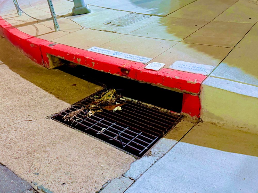 Curbside storm drain, painted red. 