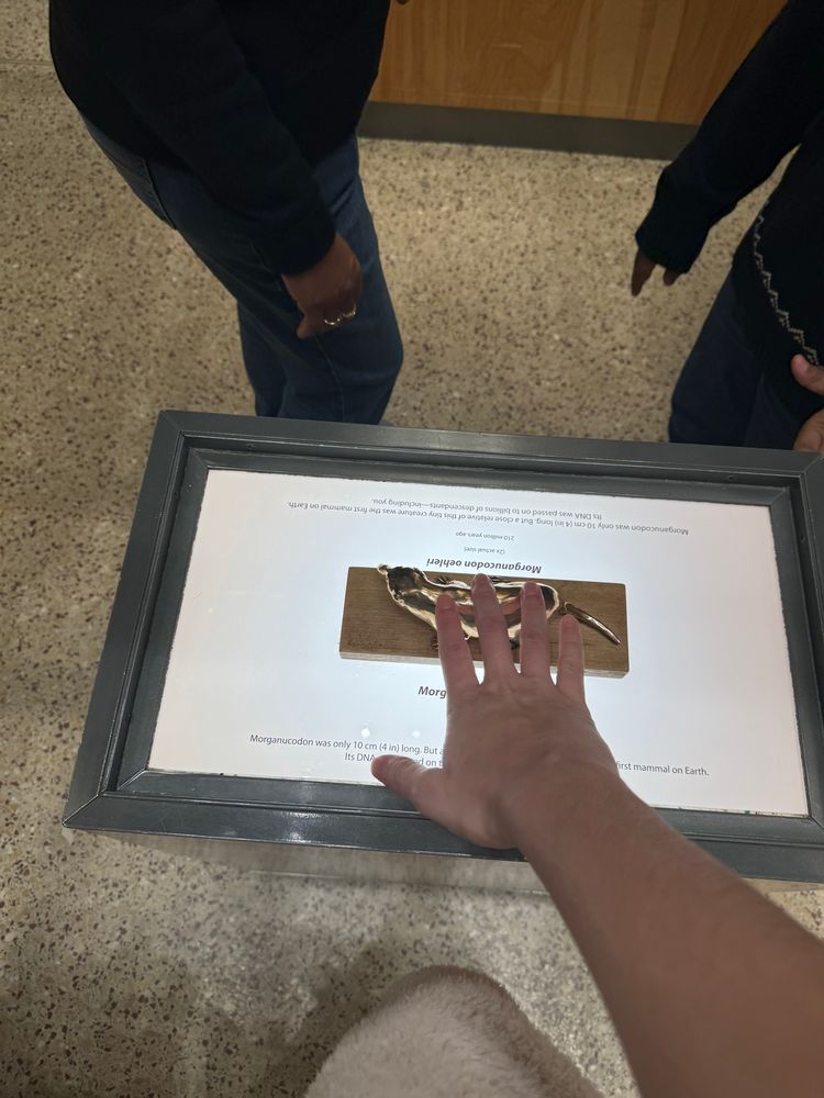 A hand touches a golden morgonucodon statue, unwittingly contracting a respiratory illness