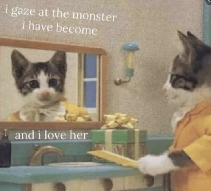 a cat looks into a mirror with the words “i gaze at the monster i have become
and i love her” superimposed